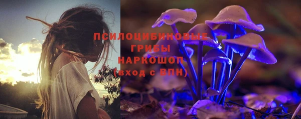jwh Гусь-Хрустальный