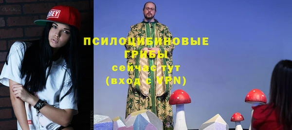 ECSTASY Гусиноозёрск