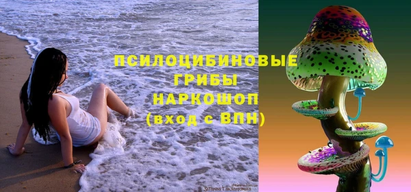 jwh Гусь-Хрустальный