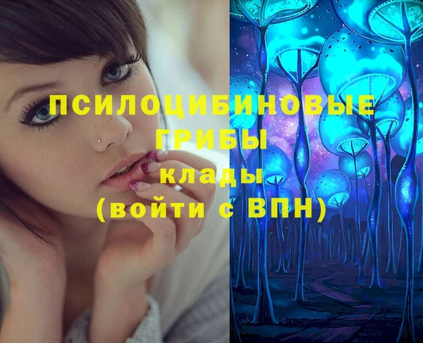 индика Дмитровск