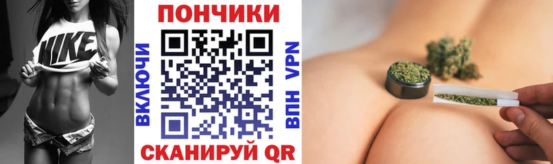 Конопля марихуана  Купить закладки  Новоалександровск 